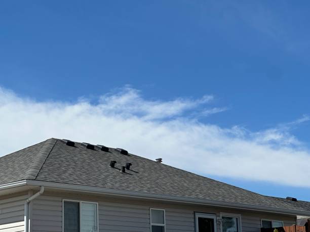 Best Emergency Roof Repair Services  in Dixon, KY